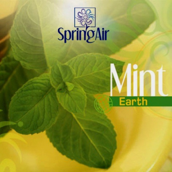 Náplň do osvěžovače - SpringAir Mint