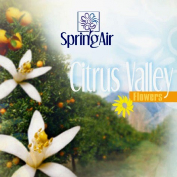 Náplň do osvěžovače - SpringAir Citrus Valley
