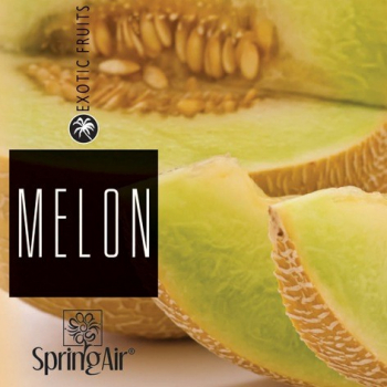 Náplň do osvěžovače - SpringAir Melon