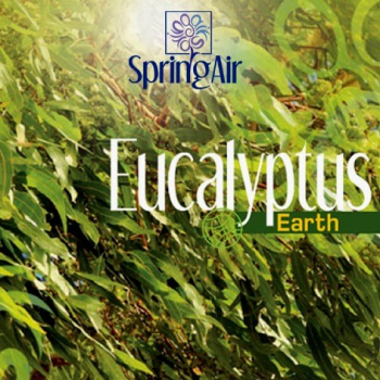 Náplň do osvěžovače - SpringAir Eucalyptus