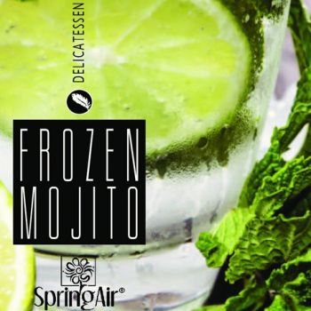 Náplň do osvěžovače - SpringAir Frozen Mojito - NOVINKA!