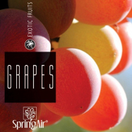 Náplň do osvěžovače - SpringAir Grapes