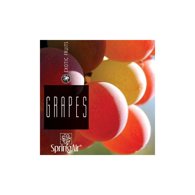 Náplň do osvěžovače - SpringAir Grapes