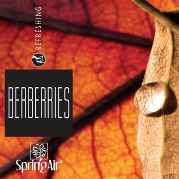 Náplň do osvěžovače - SpringAir Berberries