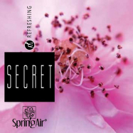 Náplň do osvěžovače - SpringAir Secret