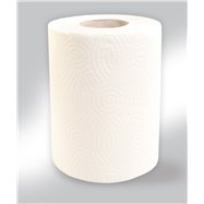 Papírové ručníky v rolích MINI, 2 - vrst., 100% celulóza, 50 m, 12 rolí / bal.