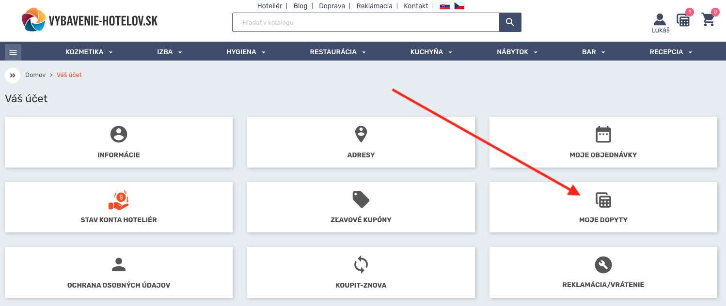 Moje dopyty v účte
